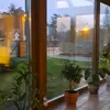 alakizia1