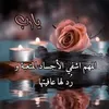user3115779400442