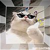 mhdmunawir0