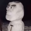 odigoz
