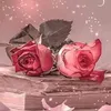 radmilagansemermiseka
