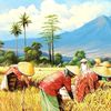 adji4258