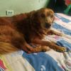 flor17440