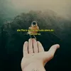 ananiascosta15