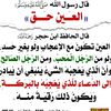 user37246243456