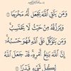 ahmadahmad8555