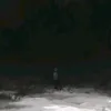 patriciotuss_