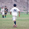 facux_x2414