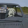 el_conters