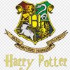 user7861439118806