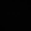 dzxzs1