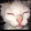 aliabdulazizbasir3