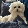 sacha_00_00