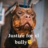 ynxg_amy1450