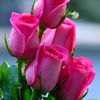 vanitha5812