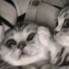 yuha_x.11