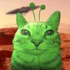 zip_gp