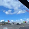 alicepereira2967