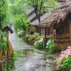 luoc.chung8