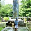 andy_jr271173