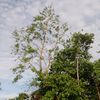 hla.myint056
