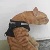 the_catt_memory