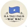 faliswacwac614
