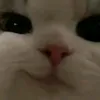 user132041183