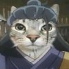 awesomelyswagcat