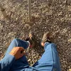 ﮼مجتبى |١٤٤٦هـ