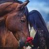 gadeer.hammad