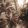 _fhm3dh_0