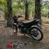 aneukmuda46