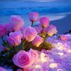 user001124854