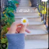 r__ah_f16