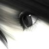 cntrl_w15