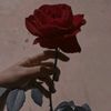 shahdkfzkc8