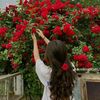 asmaeasmaa98