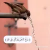 ailash86
