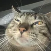 felipemarinho470