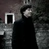 reversegoat_edits