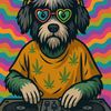 perro.callegero