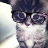 cris_talaa1