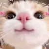 tonetbby