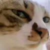 hthiennnnn.com