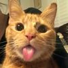 arrr_022