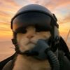 wingudspotter._