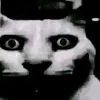 rwwkqlw_0