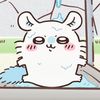 thebestsquirrel