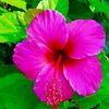 jibon.ak.ajob.gol